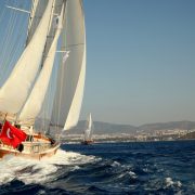 Bodrum Cup’ta yelkenler yangın bölgesinde
