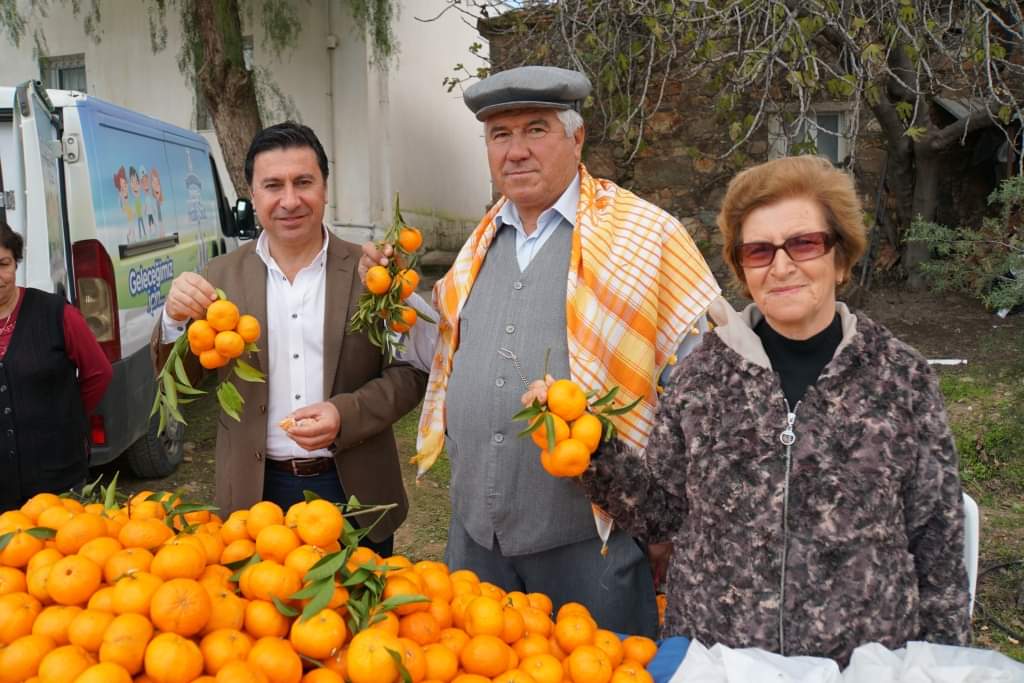 Bodrum’da geleneksel mandalina şenliği