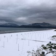 Muğla beyaza büründü! Dünyaca ünlü plajlar beyaz örtüyle kaplandı