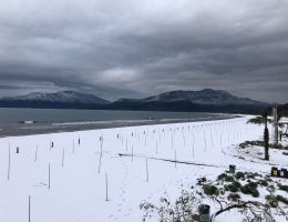 Muğla beyaza büründü! Dünyaca ünlü plajlar beyaz örtüyle kaplandı