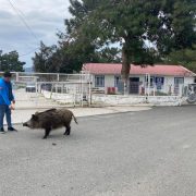 Ceyar bakımevinin müdavimi oldu