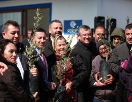 BODRUM’DA YANGIN MAĞDRURU ÜRETİCİYE ZEYTİN FİDANLARI HİBE EDİLDİ