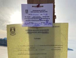 Başkan Aras: Kıyılarımızın tahribatına izin vermeyeceğim