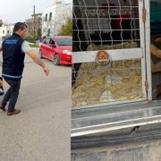 Aras:”Cennetin kapıları şeytanlara kapalı”