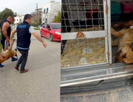 Aras:”Cennetin kapıları şeytanlara kapalı”