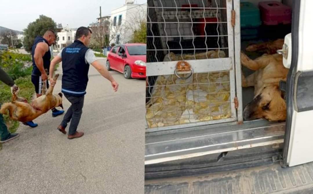 Aras:”Cennetin kapıları şeytanlara kapalı”