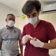 Bodrum’da ekiplerin dikkati minik canları kurtardı