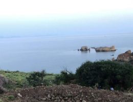 Başkan Aras, antik kente sondaj kararını yargıya taşıyor