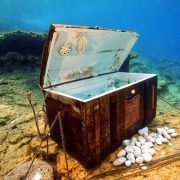 BODRUM’DA SUALTI FOTOĞRAF YARIŞMASI BAŞLIYOR