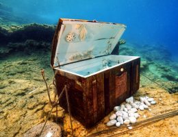 BODRUM’DA SUALTI FOTOĞRAF YARIŞMASI BAŞLIYOR