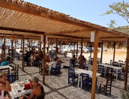 BODRUM BELEDİYESİ KAFELERİ TAKDİR TOPLUYOR