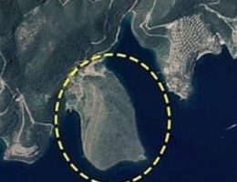 Millyonlarca insan  sosyal medyaya koştu