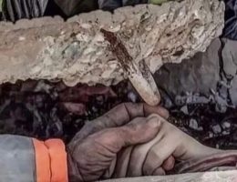 Bodrum’da festival ve eğlence bütçesi depremzedelere