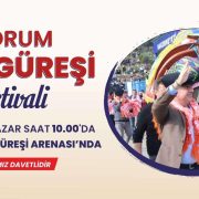 Bodrum Deve Güreşi Festivali için Geri Sayım