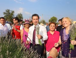 Muğla’da Lavanta Hasadı Şenliği