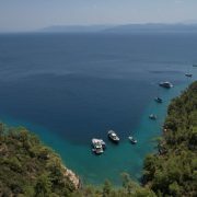 Muğla Büyükşehir, 220 çevre davası açtı