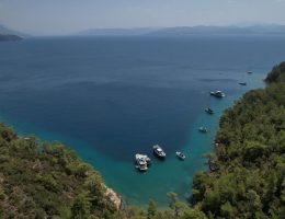 Muğla Büyükşehir, 220 çevre davası açtı