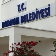 Bodrum’da zeytinlik rantındaki gerçekler ortaya çıktı! İmarın önünü açtılar