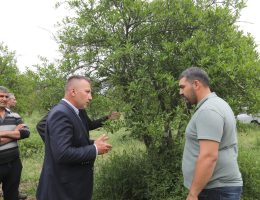 Muğla Büyükşehir’den Zirai Don Mağdurlarına Gübre ve Eğitim Desteği