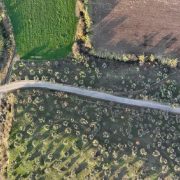 Büyükşehirin 14 Milyonluk Yatırımıyla Karahayıt Yolları Yenileniyor