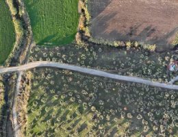 Büyükşehirin 14 Milyonluk Yatırımıyla Karahayıt Yolları Yenileniyor
